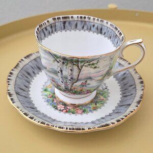 Royal Albert Silver Birch Bone China Tea Cup & Saucer Made in England EXCELLENT